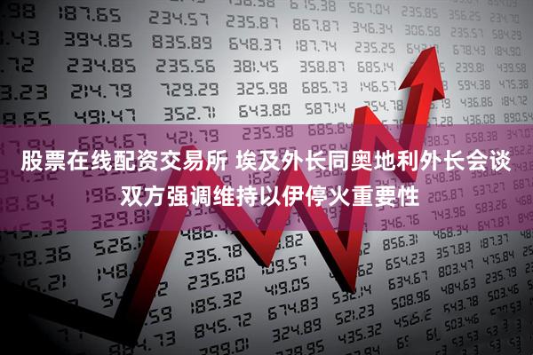 股票在线配资交易所 埃及外长同奥地利外长会谈 双方强调维持以伊停火重要性
