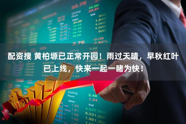 配资搜 黄柏塬已正常开园！雨过天晴，早秋红叶已上线，快来一起一睹为快！